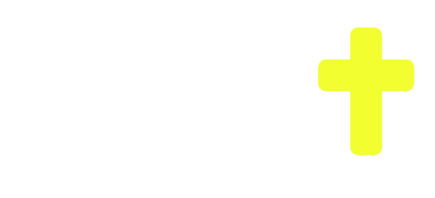 Warrior Disciple